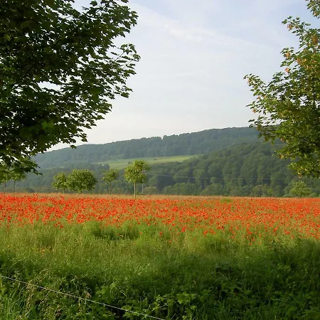 Apartment Im Baumhaus Roth an der Our