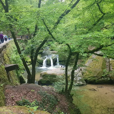 Apartment Im Baumhaus Roth an der Our